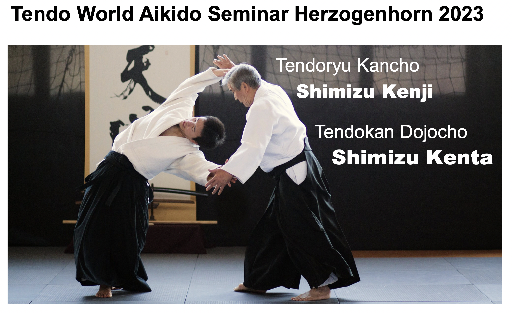 AikidoSeminarHerzogenhorn2023