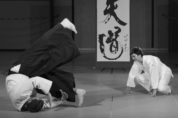 Bild, das einen Kartenausschnitt von Berlin Steglitz mit dem Ort des Dojo zeigt